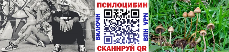 Псилоцибиновые грибы MAGIC MUSHROOMS цена Лосино-Петровский